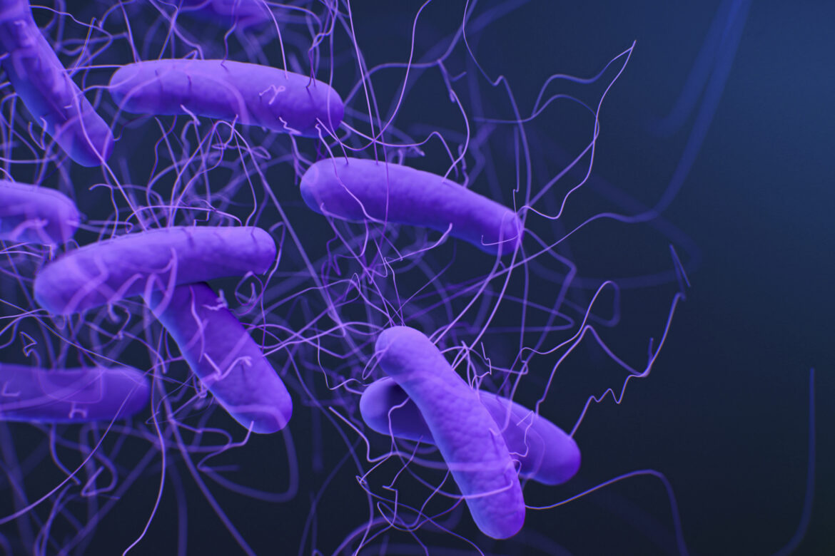 Clostridium Difficile – bakteria, która o mało mnie nie zabiła Clostridium difficile