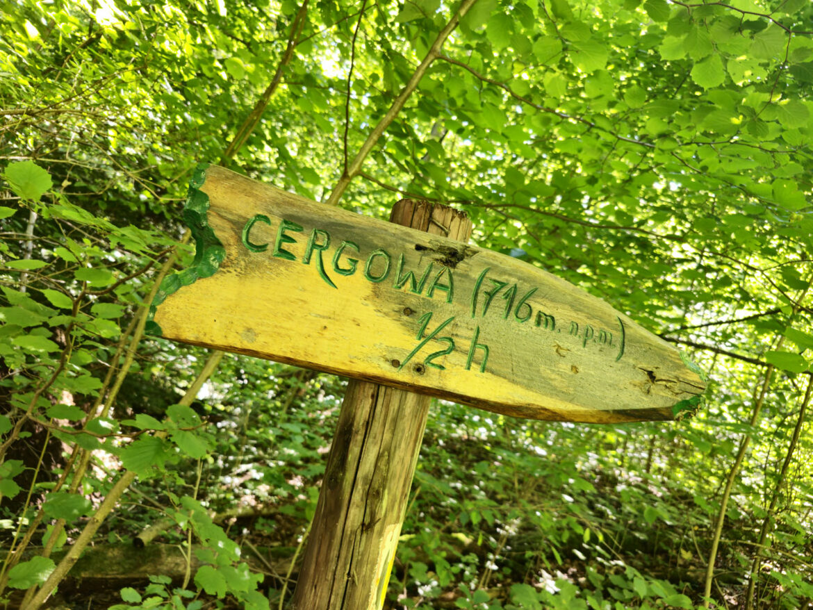 Cergowa (716 m) Cergowa Drogowskaz
